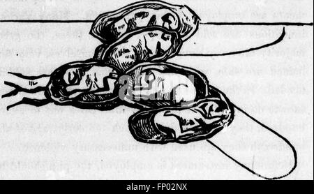 Il cane (microformati) - Da Dinks, Mayhew e Hutchinson; compilato, schematizzati, edito e illustrato da Frank Forester (ossia William Henry Herbert) (1873) Foto Stock