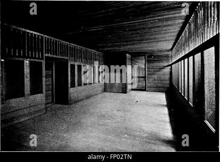 Questo libro del 1906 fornisce una storia completa dei cani, descrivendo in dettaglio la cura, la gestione e le descrizioni delle razze per cani domestici, cuccioli e da esposizione. Offre anche consigli pratici per i proprietari di cani e gli appassionati. Foto Stock