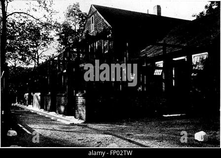 Questo libro fornisce una storia popolare del cane, offrendo consigli pratici sulla cura e la gestione di cani domestici, canile e da esposizione. Include descrizioni dettagliate di razze importanti di cani dei primi anni del XX secolo. Foto Stock