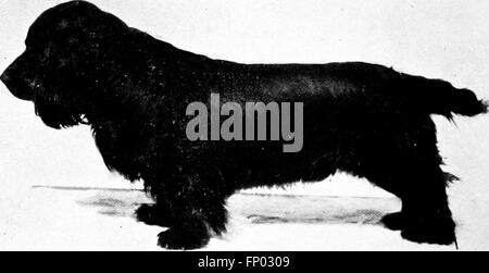 Questa edizione del 1906 di "The Dog Book" fornisce una storia completa dei cani, comprese informazioni sulle caratteristiche della razza, la cura, l'addestramento e la gestione dei cani da casa, da allevamento e da esposizione. Foto Stock