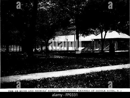 Il "Libro dei cani" del 1906 fornisce una storia completa dei cani, descrivendo dettagliatamente le loro razze, le loro caratteristiche e la gestione dei cani da casa e da esposizione, offrendo consigli pratici ai proprietari. Foto Stock