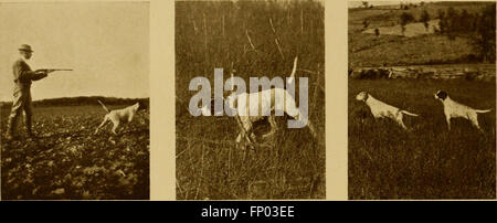 Questo libro del 1906 fornisce una storia completa del cane, offrendo consigli pratici sulla cura e la gestione dei cani domestici, delle cucce e delle mostre, oltre a descrizioni dettagliate di varie razze. Foto Stock