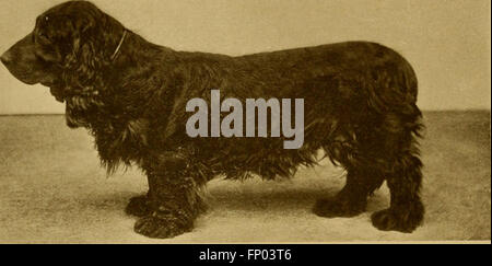 "The Dog Book" (1906) fornisce una storia completa dei cani, che copre varie razze, le loro caratteristiche e consigli pratici sulla cura, la gestione e la preparazione dell'esposizione dei cani. Foto Stock