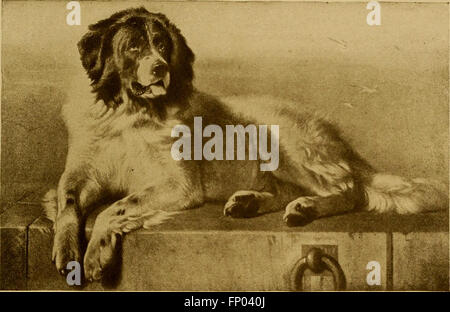 Questo libro, pubblicato per la prima volta nel 1906, offre una storia completa dei cani, concentrandosi sulla cura, la gestione e le diverse razze. Include consigli pratici per i proprietari di cani e descrizioni delle razze più popolari, sia per gli animali domestici che per i cani da mostra. Foto Stock