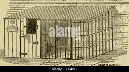 Questo manuale 1913 fornisce informazioni complete sulle razze di cani, sulla loro fisiologia, cura e gestione. Include consigli sull'allevamento, l'addestramento, l'esposizione e la progettazione di canili per diversi tipi di cani. Foto Stock