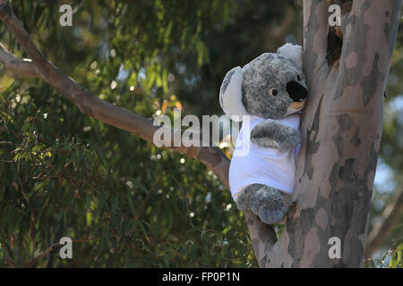 Melbourne, Australia. Il 17 marzo 2016. 2016 F1 Grand Prix Australian Grand Prix Mar 17th. Melbourne Grand Prix Circuit, Albert Park di Melbourne, Australia. Credito di atmosfera: Azione Plus immagini di sport/Alamy Live News Foto Stock