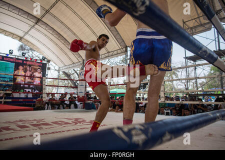 Ayutthaya, Thailandia. Xvii Mar, 2016. Questa immagine mostra due uomini combattimenti durante il dodicesimo mondo Wai Kru Muay Thai cerimonia.xii mondo Wai Kru Muay Thai cerimonia si terrà nei pressi della celebre Wat Maha That tempio in al parco storico di Ayutthaya e attirano ogni anno più di 1200 Muay Thai fighters da 57 paesi per presentare alcune della sacra arte marziale i rituali di Muay Thai boxing. Credito: Guillaume Payen/ZUMA filo/Alamy Live News Foto Stock