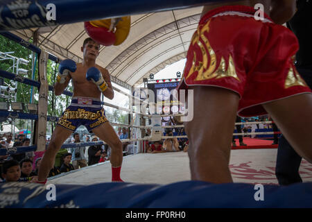 Ayutthaya, Thailandia. Xvii Mar, 2016. Questa immagine mostra due uomini combattimenti durante il dodicesimo mondo Wai Kru Muay Thai cerimonia.xii mondo Wai Kru Muay Thai cerimonia si terrà nei pressi della celebre Wat Maha That tempio in al parco storico di Ayutthaya e attirano ogni anno più di 1200 Muay Thai fighters da 57 paesi per presentare alcune della sacra arte marziale i rituali di Muay Thai boxing. Credito: Guillaume Payen/ZUMA filo/Alamy Live News Foto Stock