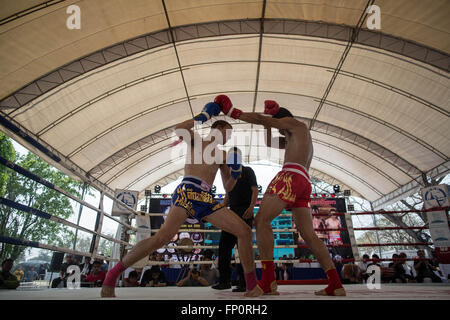 Ayutthaya, Thailandia. Xvii Mar, 2016. Questa immagine mostra due uomini combattimenti durante il dodicesimo mondo Wai Kru Muay Thai cerimonia.xii mondo Wai Kru Muay Thai cerimonia si terrà nei pressi della celebre Wat Maha That tempio in al parco storico di Ayutthaya e attirano ogni anno più di 1200 Muay Thai fighters da 57 paesi per presentare alcune della sacra arte marziale i rituali di Muay Thai boxing. Credito: Guillaume Payen/ZUMA filo/Alamy Live News Foto Stock