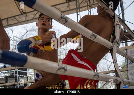 Ayutthaya, Thailandia. Xvii Mar, 2016. Questa immagine mostra due uomini combattimenti durante il dodicesimo mondo Wai Kru Muay Thai cerimonia.xii mondo Wai Kru Muay Thai cerimonia si terrà nei pressi della celebre Wat Maha That tempio in al parco storico di Ayutthaya e attirano ogni anno più di 1200 Muay Thai fighters da 57 paesi per presentare alcune della sacra arte marziale i rituali di Muay Thai boxing. Credito: Guillaume Payen/ZUMA filo/Alamy Live News Foto Stock