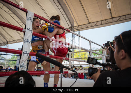 Ayutthaya, Thailandia. Xvii Mar, 2016. Questa immagine mostra due donne combattimenti durante il dodicesimo mondo Wai Kru Muay Thai cerimonia.xii mondo Wai Kru Muay Thai cerimonia si terrà nei pressi della celebre Wat Maha That tempio in al parco storico di Ayutthaya e attirano ogni anno più di 1200 Muay Thai fighters da 57 paesi per presentare alcune della sacra arte marziale i rituali di Muay Thai boxing. Credito: Guillaume Payen/ZUMA filo/Alamy Live News Foto Stock