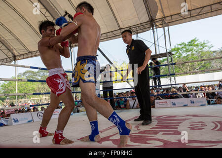 Ayutthaya, Thailandia. Xvii Mar, 2016. Questa immagine mostra due uomini combattimenti durante il dodicesimo mondo Wai Kru Muay Thai cerimonia.xii mondo Wai Kru Muay Thai cerimonia si terrà nei pressi della celebre Wat Maha That tempio in al parco storico di Ayutthaya e attirano ogni anno più di 1200 Muay Thai fighters da 57 paesi per presentare alcune della sacra arte marziale i rituali di Muay Thai boxing. Credito: Guillaume Payen/ZUMA filo/Alamy Live News Foto Stock