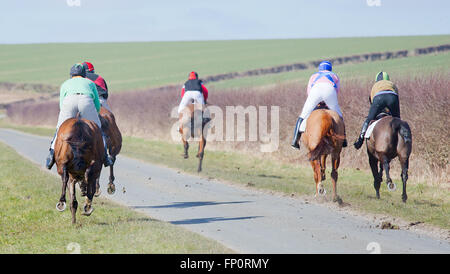 Il derby kiplingcotes i mondi più antica corsa di cavalli corrono in yorkshire ogni anno a partire dal 1519 Foto Stock