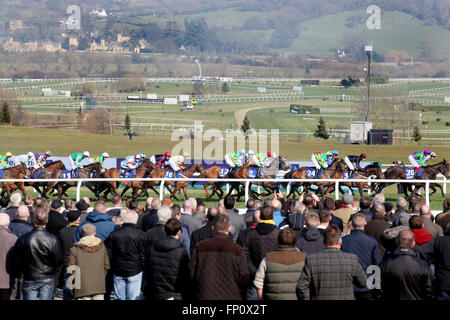 Cheltenham, Regno Unito. Il 17 marzo 2016. Festival di Cheltenham, Day 3, ippodromo di Cheltenham, Gloucestershire giorno tre del 2016 Festival di Cheltenham. Nella foto: folla guarda il Racing alla 2016 Festival di Cheltenham. Vista generale del credito: Lucy Ford/Alamy Live News Foto Stock