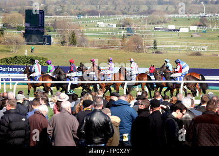 Cheltenham, Regno Unito. Il 17 marzo 2016. Festival di Cheltenham, Day 3, ippodromo di Cheltenham, Gloucestershire giorno tre del 2016 Festival di Cheltenham. Nella foto: folle e Racing alla 2016 Festival di Cheltenham. Vista generale del credito: Lucy Ford/Alamy Live News Foto Stock