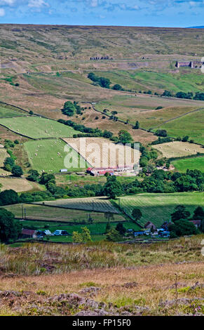 Vista da Blakey Ridge giù per terreni agricoli in Rosedale, con i resti della vecchia miniera ironstone lavorazioni visibile in distanza, estate Foto Stock