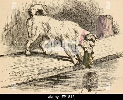 Libro di cani e gatti e altri amici, per la poca gente (1885) Foto Stock