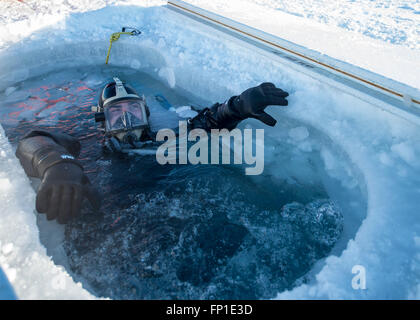 Un U.S. Navy subacqueo durante un ice dive al multi-National Ice Camp Sargo durante l'ICEX 2016 esercizio Marzo 10, 2016 nel circolo polare artico. L'ICEX 2016 è una di cinque settimane di esercizio progettata per la ricerca, testare e valutare le capacità operative nella regione Foto Stock