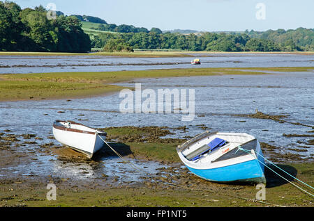 Il fango tidal flats in Carnon river a Devoran in Cornwall, Regno Unito Foto Stock