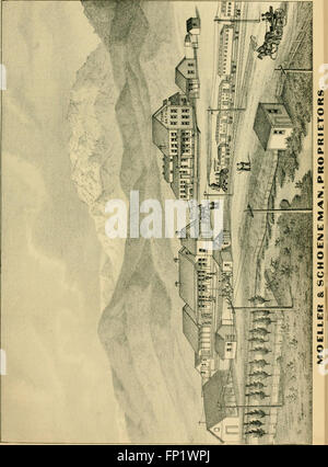 La storia del Nevada; (1881) Foto Stock