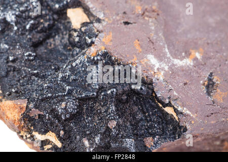 Le riprese in modalità macro di roccia naturale campione - Goethite minerale della Limonite ematite marrone close up Foto Stock