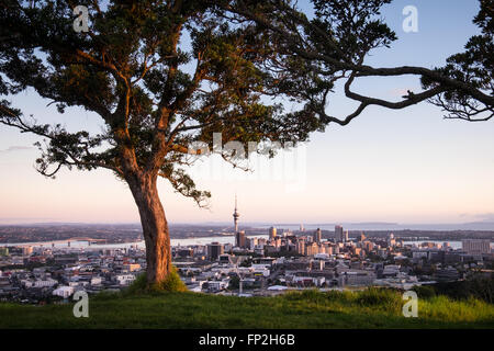 Una vista della città di Auckland da Mt. Eden. Foto Stock