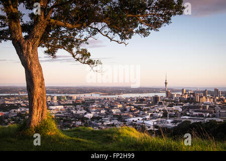 Una vista della città di Auckland da Mt. Eden. Foto Stock