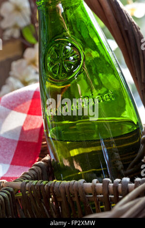 Picpoul de Pinet bianco secco vino Languedoc nel cesto su alfresco terrazza giardino Languedoc Francia Foto Stock