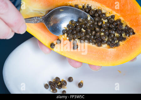 La pulizia di una papaia con un cucchiaio fino in prossimità facendo cadere i semi su una piastra bianca Foto Stock