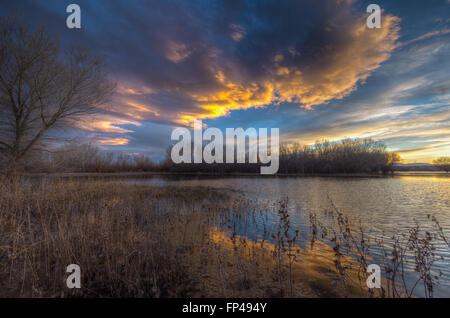 Luminose nubi dopo il tramonto su una palude a Bosque del Apache National Wildlife Refuge, nuovo Messico, Stati Uniti d'America. Foto Stock