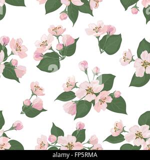 Seamless motivo floreale, melo fiori Illustrazione Vettoriale