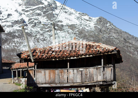 Hórreo. Foto Stock