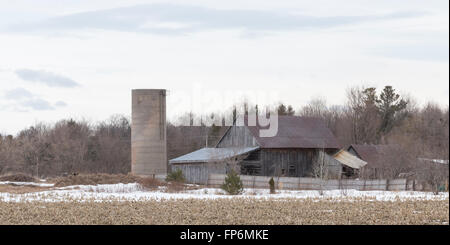 Decrepito edificio in un campo di agricoltori Foto Stock