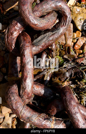 Pesante catena arrugginito sulla riva del mare Foto Stock