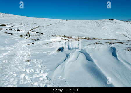 Derive di neve sulla pista di seguito Edale testa (Kinder Scout), sopra Edale, Peak District, Derbyshire, England, Regno Unito Foto Stock