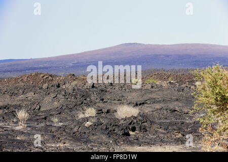 Asciugare vulcanica terra sterile di Danakil deserto vie quasi cancellati via dalla città Afrera per Dodon-campo base del vulcano Erta Ale. Foto Stock