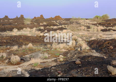 Asciugare vulcanica terra sterile di Danakil deserto vie quasi cancellati sulla strada verso Dodon-campo base dal vulcano Erta Ale-Ethiopi Foto Stock