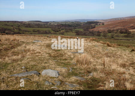 Strada romana Saxonville Moor, Goathland, North Yorkshire, Foto Stock