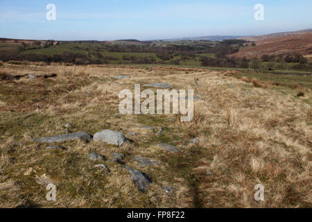 Strada romana Saxonville Moor, Goathland, North Yorkshire, Foto Stock