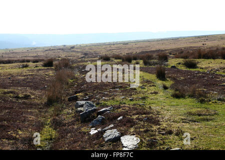 Strada romana Saxonville Moor, Goathland, North Yorkshire, Foto Stock