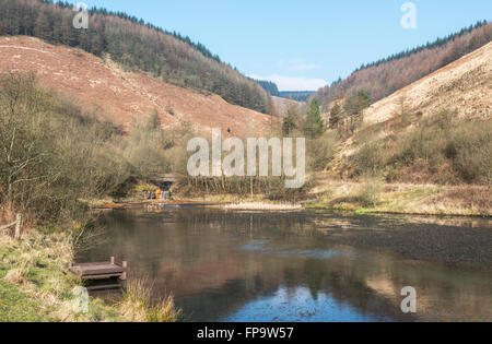 Clydach Vale Country Park e il laghetto superiore nella Rhondda Valley South Wales, costruito sul sito del vecchio Cambrian Colliery Foto Stock