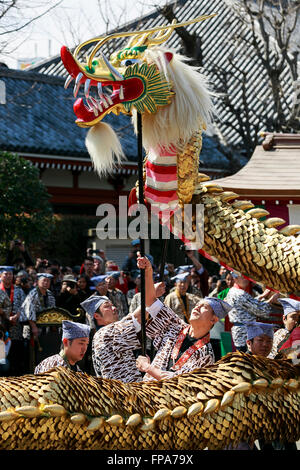 Tokyo, Giappone. Il 18 marzo, 2016. Un Golden Dragon dance o Kinryu-no-ami è eseguita presso il tempio Sensoji di Asakusa il 18 marzo 2016, Tokyo, Giappone. Il festival celebra la fondazione del tempio di Sensoji; che è anche noto come Kinryu-zan, letteralmente Golden Dragon Mountain. Secondo la leggenda, quando il tempio fu fondato un Golden Dragon disceso dal cielo la creazione di un boschetto di mille pini vicino al tempio il diciottesimo giorno. Il drago utilizzato nella danza è 88kg e 18m in lunghezza ed è gestito da 8 persone. Credito: Aflo Co. Ltd./Alamy Live News Foto Stock