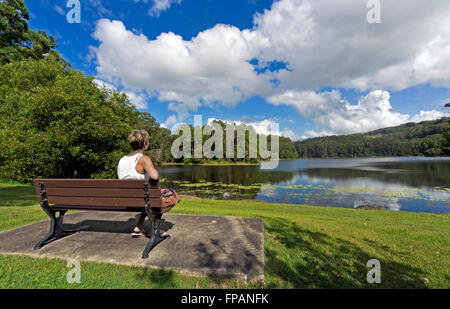 La donna si rilassa su banco e affacciato sul lago con bellissimo cielo, meteo e paesaggi Foto Stock