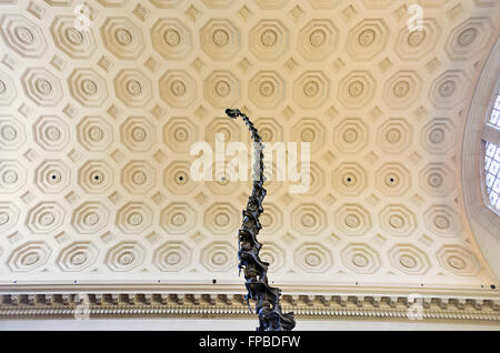 New York City - 31 Gennaio 2016: Barosaurus nella hall del Museo Americano di Storia Naturale a Manhattan. Foto Stock
