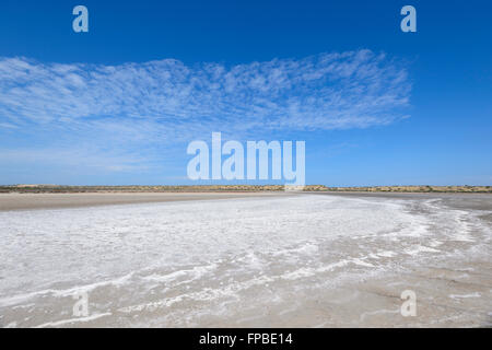 Il lago di McLeod, Regione Gascoine, Carnarvon, Western Australia, WA, Australia Foto Stock