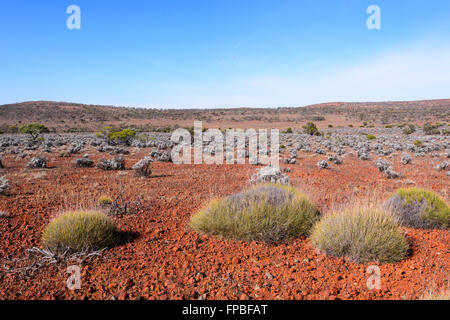 Outback vicino al lago Gairdner, South Australia, Australia Foto Stock