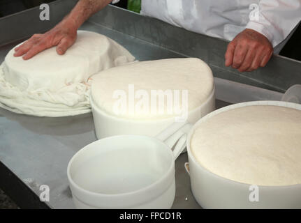 Mano di senior esperto casaro controlla la ruota di formaggio appena fatto nel caseificio di montagna Foto Stock