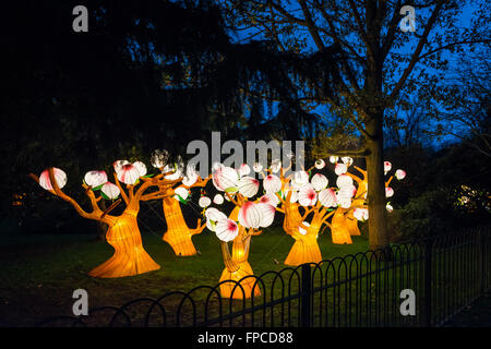 London, Regno Unito - Febbraio 07, 2016: lanterna magica festa a Chiswick House e giardini. Foto Stock