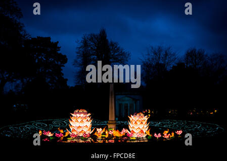 London, Regno Unito - Febbraio 07, 2016: lanterna magica festa a Chiswick House e giardini. I fiori di loto e coy fish Foto Stock