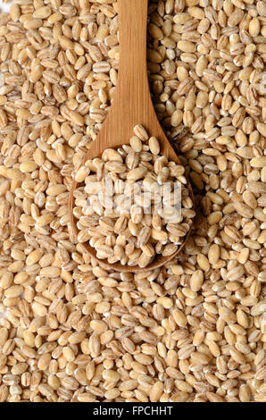 Orzo cruda semi di grano close up shot Foto Stock